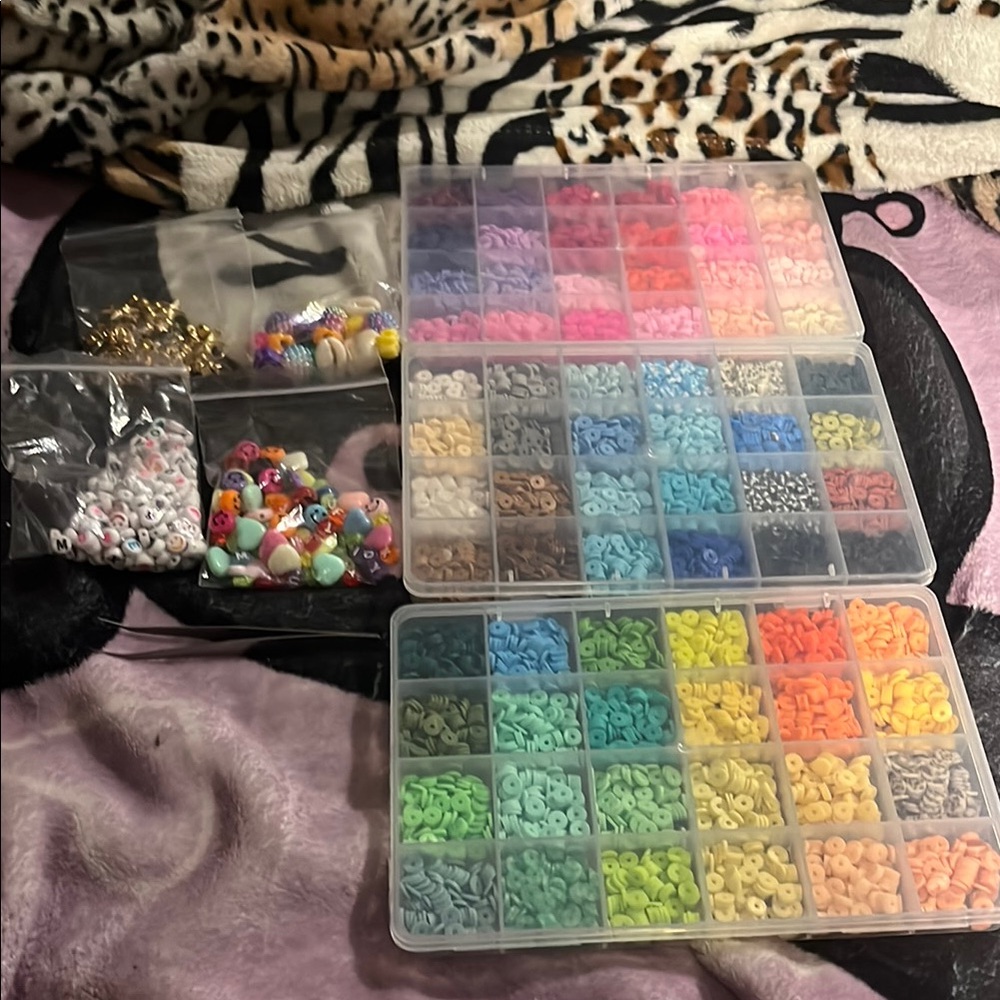 Colorful Bead Organizer Set